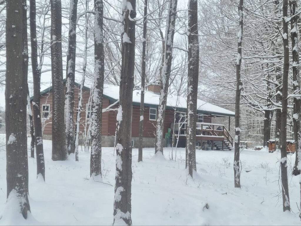 A cabin in the woods during winter with TruLog steel log siding